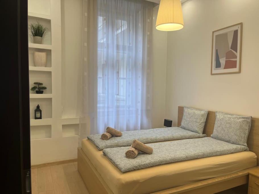 Szechenyi Renovated 2Br At Danube River Budapest Exterior foto
